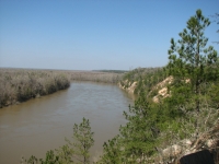 Apalachicola River